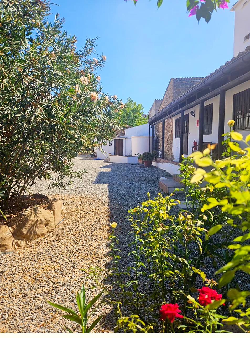 Gravel garden path past the guest wing, lined with roses and olive trees